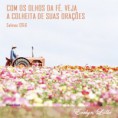 /album/imagens-/evelyn-11-jpg/